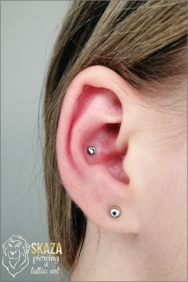 conch1