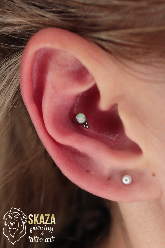 conch6