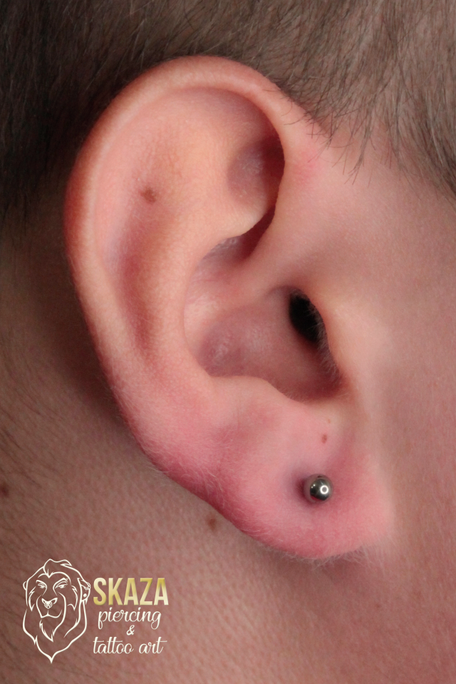 lobe12face