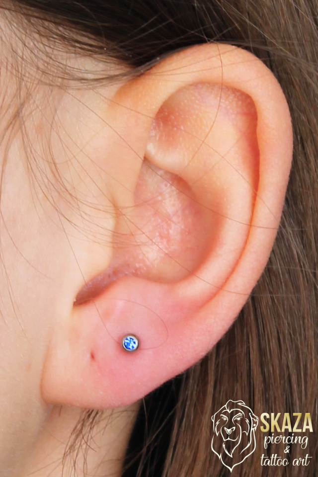 lobe16face