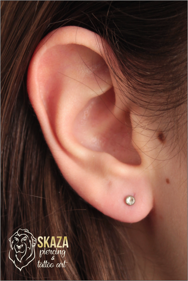lobe4face