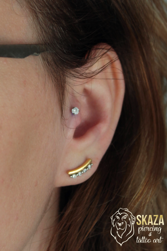 tragus2