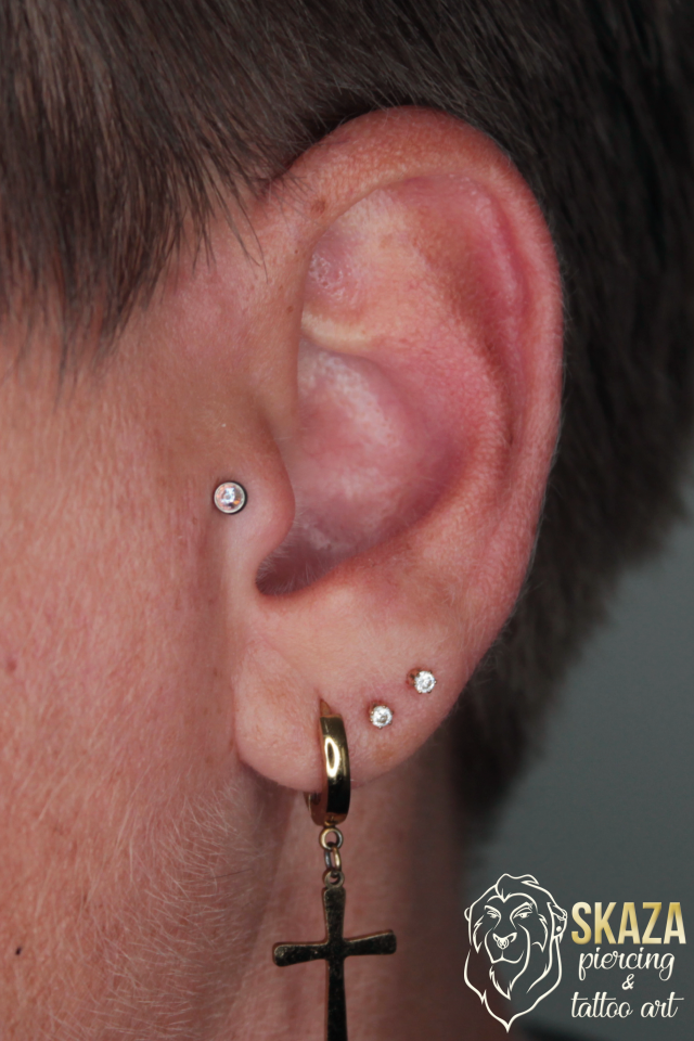 tragus3